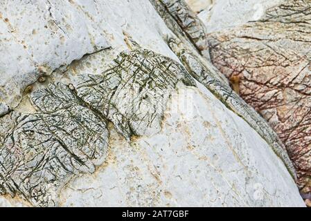 Close-up of beautiful gray and red colored, textured eroded rocks at a coastline in the Philippines Stock Photo