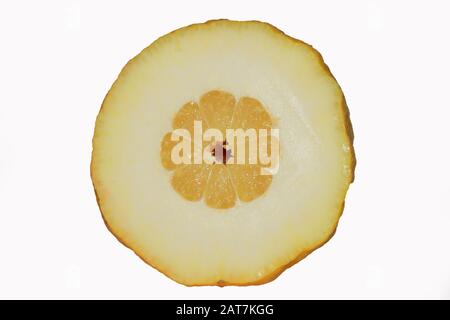 Halved citron (Citrus medica), cutout, Germany Stock Photo