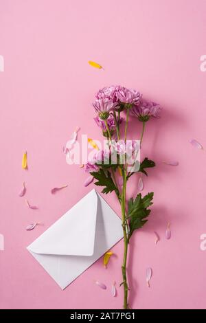 Purple chrysanthemum and petals on pink background Stock Photo