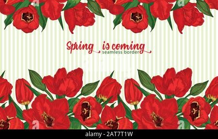 Greeting background with Spring flower tulips bouquet in red and green colors. Horizontal seamless pattern Stock Vector