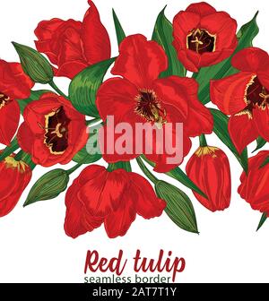Greeting background with Spring flower tulips bouquet in red and green colors. Horizontal seamless pattern Stock Vector