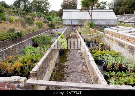 View of a large greenhouse and the cold frames. Stock Photo
