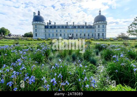 France, Indre, Berry, Valencay, Chateau de Valencay Park and Gardens, castle facade and the Grande Perspective, round of iris and grasses with bluish Stock Photo