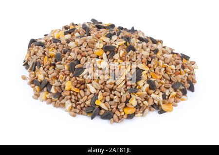 Studio shot of wild bird seed cut out against a white background - John Gollop Stock Photo