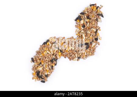 Studio shot of wild bird seed cut out against a white background - John Gollop Stock Photo