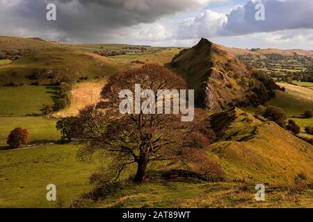 View of autumn tree Parkhouse Hilland Chrome hill Peak District Stock Photo