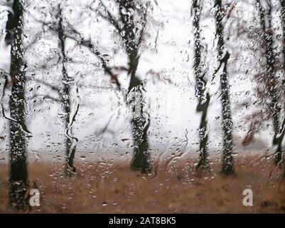 View through the wet window on the trees in autumn rainy weather. Climate. Background image. Raindrops. Stock Photo