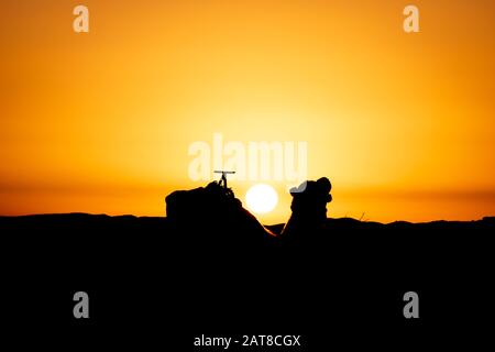 Camel silhouette at sunrise in Sahara, Merzouga, Morocco Stock Photo