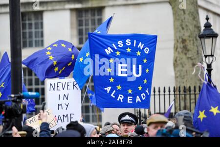 London UK 31st January 2020 - EU supporters gather in Whitehall London as Britain prepares to leave the EU at 11pm later this evening 47 years after joining : Credit Simon Dack / Alamy Live News