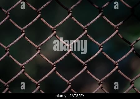 rabitz netting texture background. Fencing metal mesh fence. Stock Photo