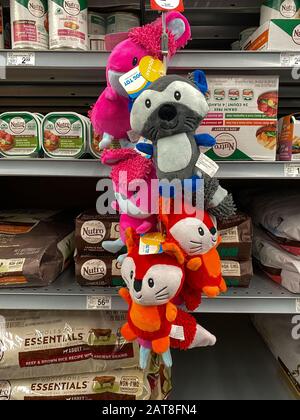 Orlando, FL/USA-1/29/20: A display of various brands of colorful dog toys for sale at a Petsmart Superstore ready for pet owners to purchase for their Stock Photo