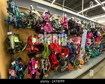 Orlando, FL/USA-1/29/20: A display of various brands of Dog harnesses for sale at a Petsmart Superstore ready for pet owners to purchase for their pet Stock Photo