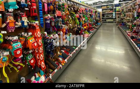 Orlando, FL/USA-1/29/20: A display of various brands of colorful dog toys for sale at a Petsmart Superstore ready for pet owners to purchase for their Stock Photo
