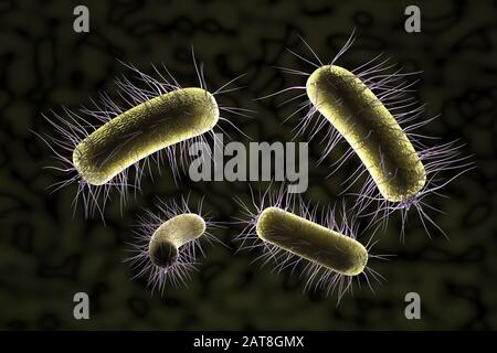 close up of microscopic bacteria , 3d illustration Stock Photo