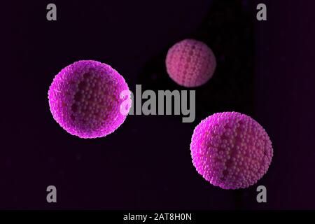 3d illustration, close up of microscope Papilloma Virus Stock Photo