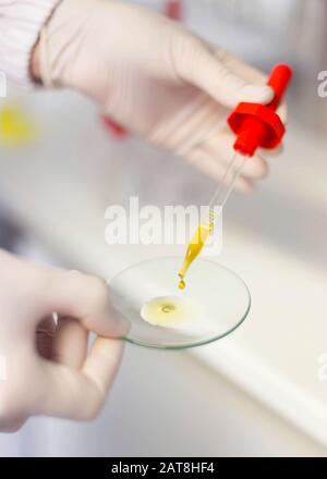A woman hand in rubber glove hold a pipette dropping to glass with yellow oil. Production of cosmetics. Scientific laboratory. Stock Photo
