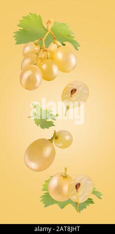 Floating white wine grapes isolated on white background Stock Photo