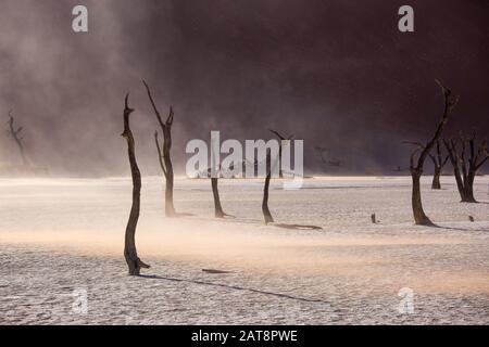 Silhouettes of dry hundred years old trees in the desert among red sand dunes. Unusual surreal alien landscape with dead skeletons trees. Deadvlei, Na Stock Photo