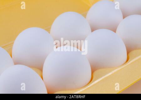 White chicken eggs lie in the package. Stock Photo