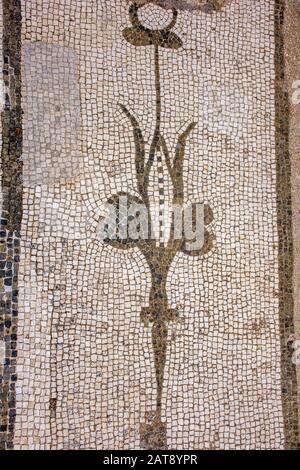 Italy, Naples, Oplontis, frescoes and mosaic in the archaeological area of the villa of Poppea in Torre Annunziata Stock Photo