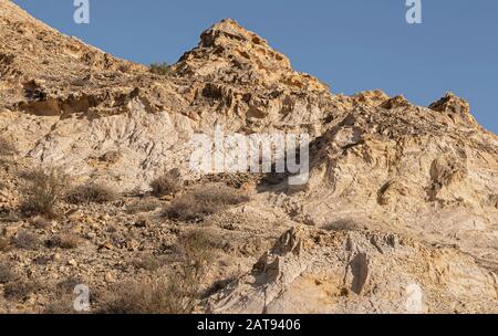 a steep rocky hillside in the judean desert mountains above near ein mabo'a in the west bank showing exposed layers of limestone, chalk, flint and spa Stock Photo