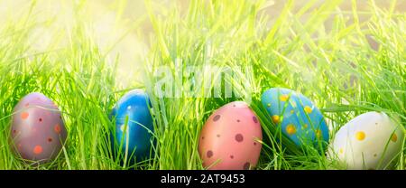 Colorful Easter eggs in fresh green grass. Easter eggs hunt. Close up. Stock Photo