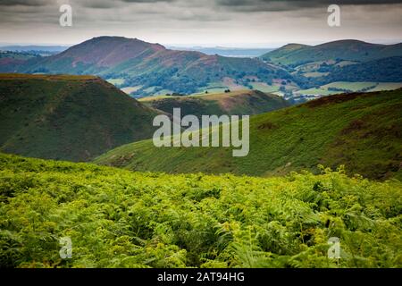 The Long Mynd is a part of the Shropshire Hills. Emerging suddenly and steeply from the farming landscape below it rises to 516metres (1693ft). Stock Photo