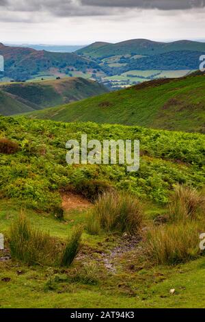 The Long Mynd is a part of the Shropshire Hills. Emerging suddenly and steeply from the farming landscape below it rises to 516metres (1693ft). Stock Photo