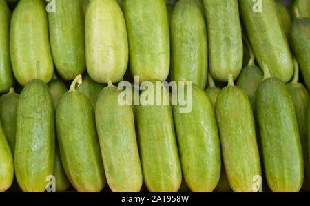 green miniature cucumbers lie in a row Stock Photo