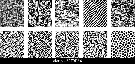 Vector Reaction Diffusion Non-Equilibrium Thermodynamics Design Set ...