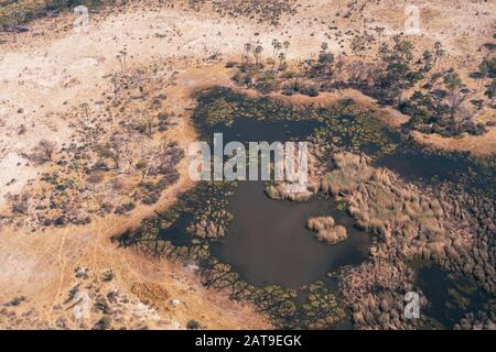 Okavango Delta Aerial of a Pond or Small Lake with Reeds in Dry Savanna Plain with Trees in Moremi Game Reserve