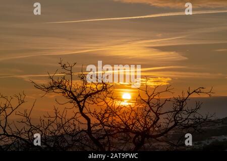Eerie trees with leafless branches against golden sun and cloudy sky at sunset Stock Photo