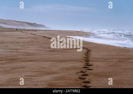 Tranquil view of empty sand beach. Footprints on wet sand Stock Photo