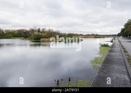 Lagoon of the Costanera Sur Ecological Reserve, in Buenos Aires, Argentina Stock Photo