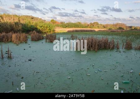 Capital Federal, Buenos Aires / Argentina; July 31, 2015: Lagoon with plastic bottles and cups floating on its surface, in the Costanera Sur ecologica Stock Photo