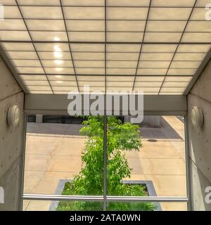 Square frame Slanted frosted glass roof over glass wall with view of trees and sunny outdoor Stock Photo