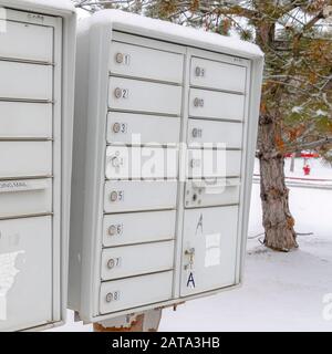 Square Mailbox against neighbourhood landscape covered with fresh white snow in winter Stock Photo