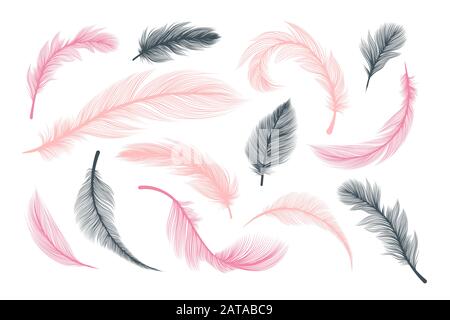 Feathers, vector pink and black fluffy quill plumes isolated on white background. Abstract feathers with realistic plumage texture pattern, wedding and birthday design elements, softness concept Stock Vector