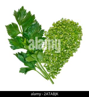 Fresh celery on white background. Celery sticks. Celery isolated. Celery stalk on white background. Food ingredients. Vegan. Вегетарианец Stock Photo