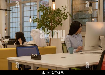 Arab business people in a meeting Stock Photo