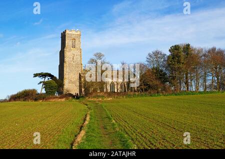 A view from the footpath across the fields to the parish Church of St Peter and St Paul at Honing, Norfolk, England, United Kingdom, Europe. Stock Photo