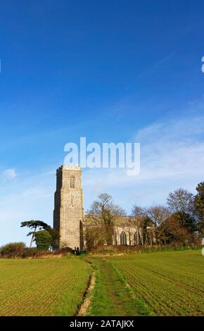 A view from the footpath across the fields to the parish Church of St Peter and St Paul at Honing, Norfolk, England, United Kingdom, Europe. Stock Photo