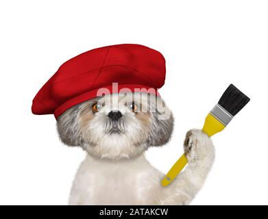 Shitzu dog as a painter with a brush. Isolated on white Stock Photo