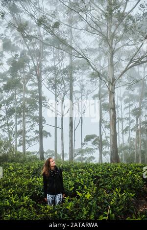 Attractive white female tourist posing in Hortons plains tea plantation. Stock Photo