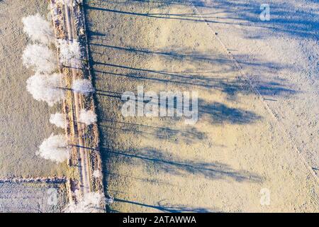 Field path through birch avenue with hoarfrost, Schwaigwall, near Geretsried, drone shot, Upper Bavaria, Bavaria, Germany Stock Photo