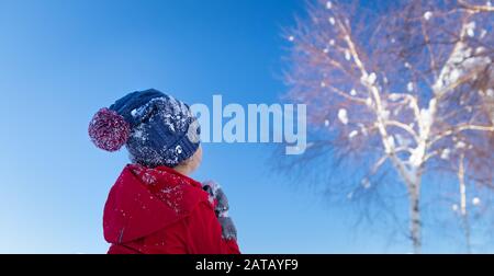 Little girl enjoying winter view, back side of a child looking on the tree covered with snow over blue sky background, beauty of wintertime nature Stock Photo