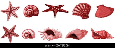 Set of isolated seashells in red color illustration Stock Vector