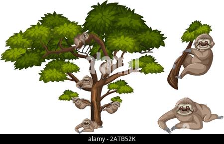 Big green tree and many slothes on the branches illustration Stock Vector