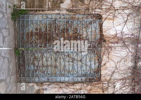 Weathered blue barred window abandoned with dead plant twigs covering the window and wall. Stock Image Stock Photo