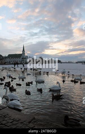 Reykjavik Frozen Lake Stock Photo